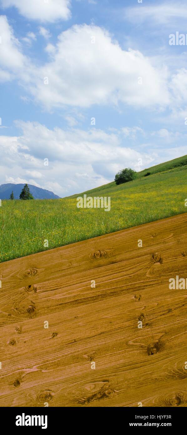 Alpi, escursione, fare escursioni, escursione, alp, Baviera, prato, il firmamento cielo, montagna, Foto Stock