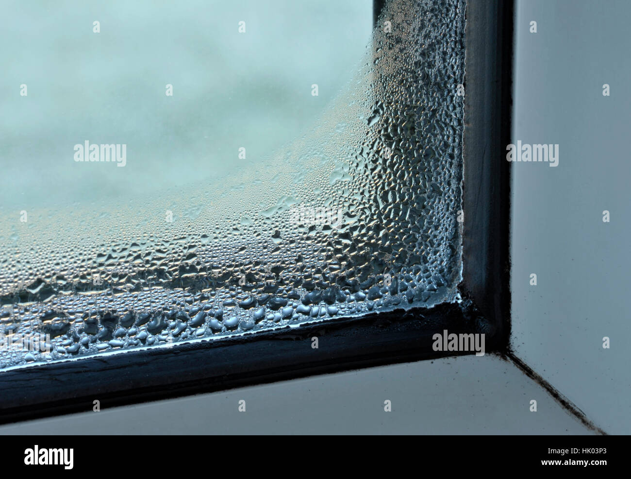 La formazione di condensa e di smorzare il problema all'interno di finestre  a doppi vetri Foto stock - Alamy