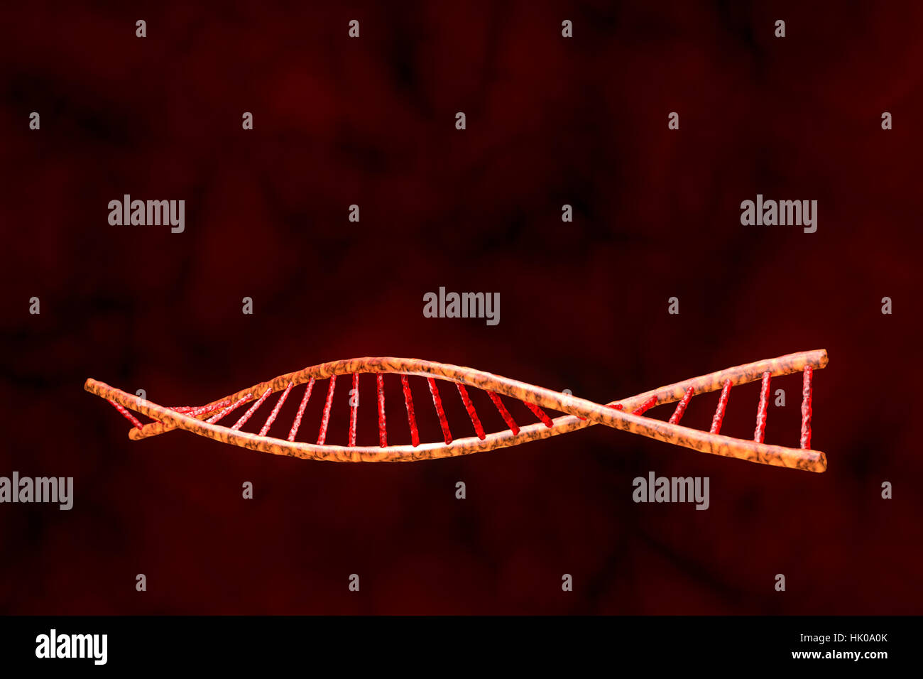 Il modello del DNA umano (3d-modello). Abstract rosso scuro dello sfondo. Foto Stock