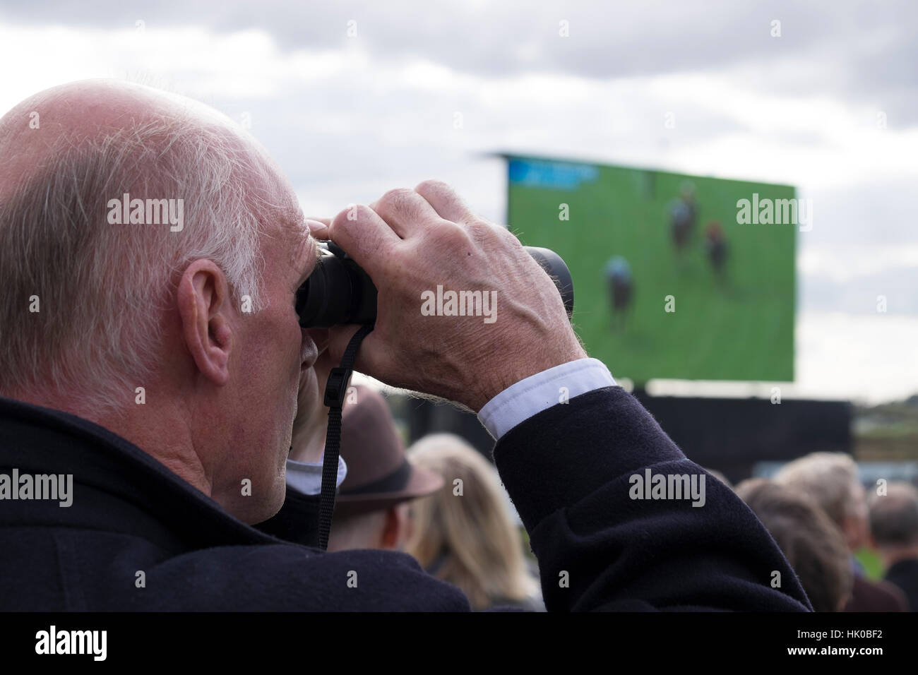 L'uomo a guardare le corse dei cavalli con il binocolo Foto Stock