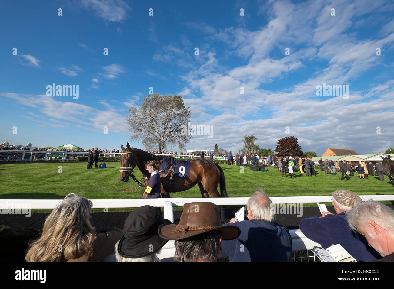 La folla guarda un cavallo nella parade ring Foto Stock