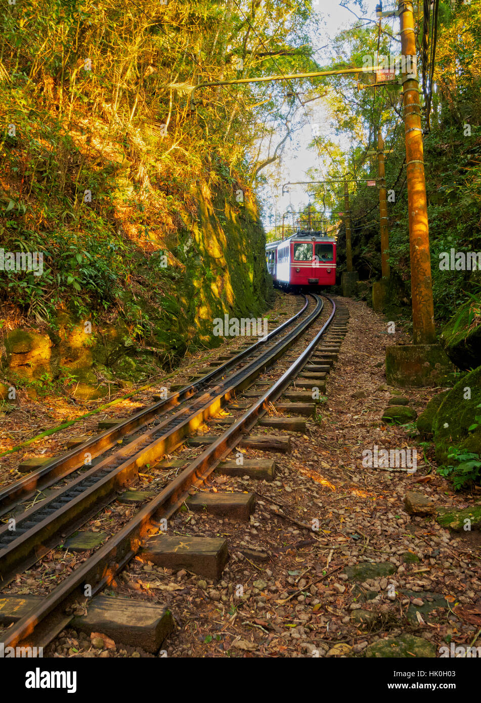 Treno di Corcovado, Rio de Janeiro, Brasile, Sud America Foto Stock