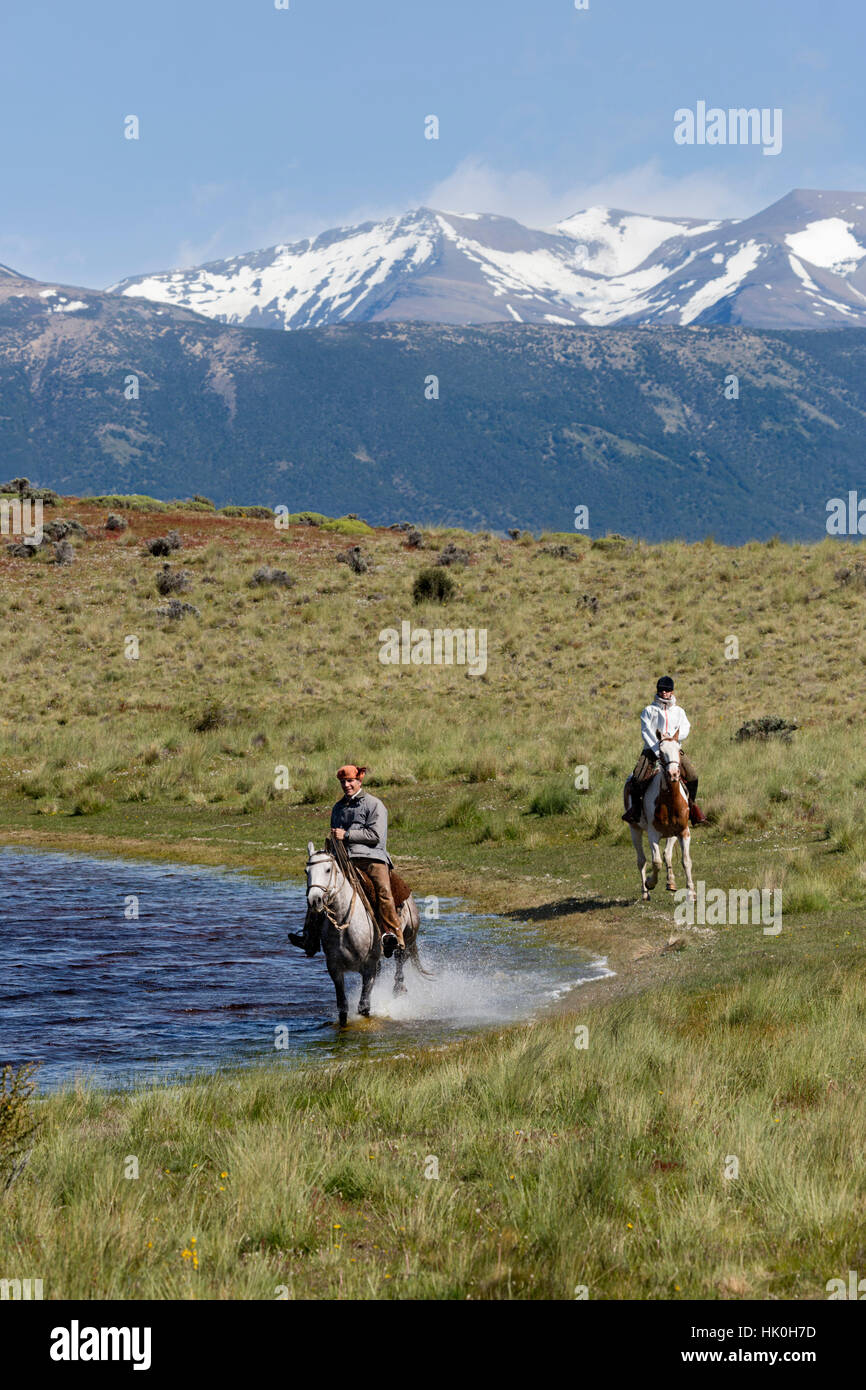Gaucho su cavallo al galoppo dal lago a Estancia Alta Vista, El Calafate, Parque Nacional Los Glaciares, Patagonia, Argentina Foto Stock