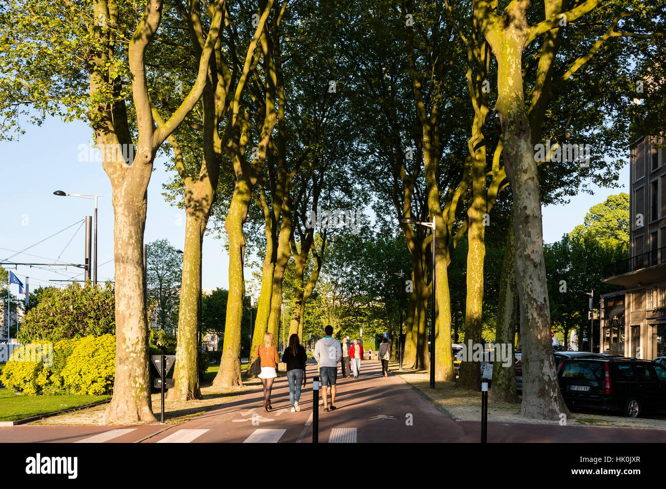 Francia, Normandia, Le Havre. Avenue Foch, questa magnifica paragonabili per dimensioni al viale degli Champs Elysees di Parigi, links Place de l'Hotel de Ville per le Porte Oceane e Le Havre sulla spiaggia. Foto Stock