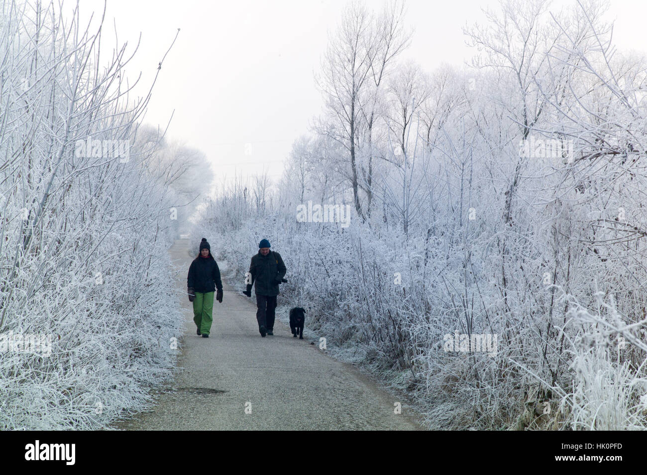 Walkers a Berek boschi in sub zero temperatura e trasformata per forte gradiente frost. Nove Zamky Slovacchia. Jan 2017 Foto Stock
