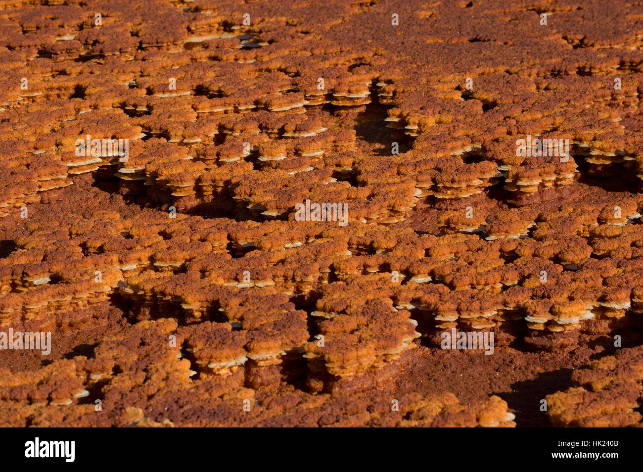 I colori vivaci e il sorprendente formazioni rocciose in uno scenario incredibile di Dalol, Etiopia nella depressione di Danakil deserto Foto Stock