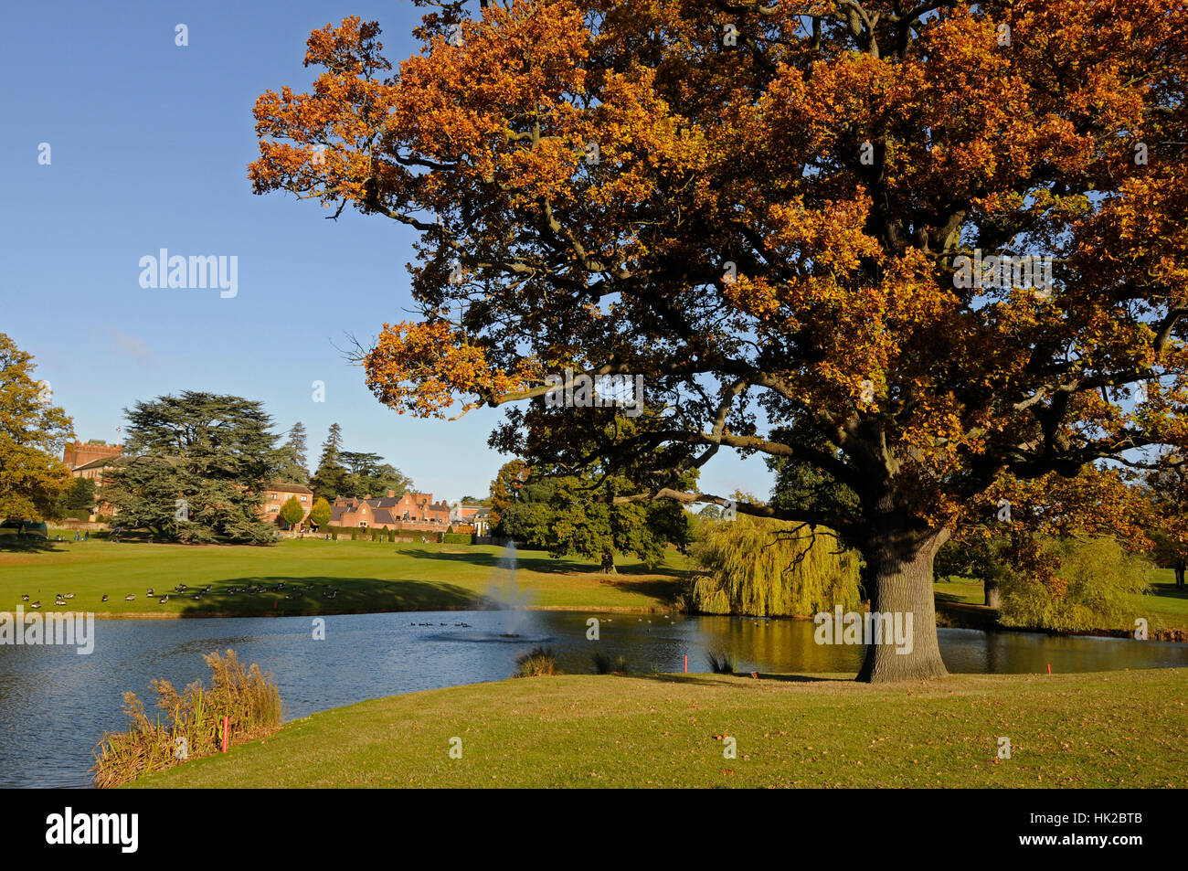 Vista sul lago accanto al diciassettesimo verde e vista del XVIII Fairway in autunno, Hanbury Manor, Ware Hertfordshire, Inghilterra Foto Stock