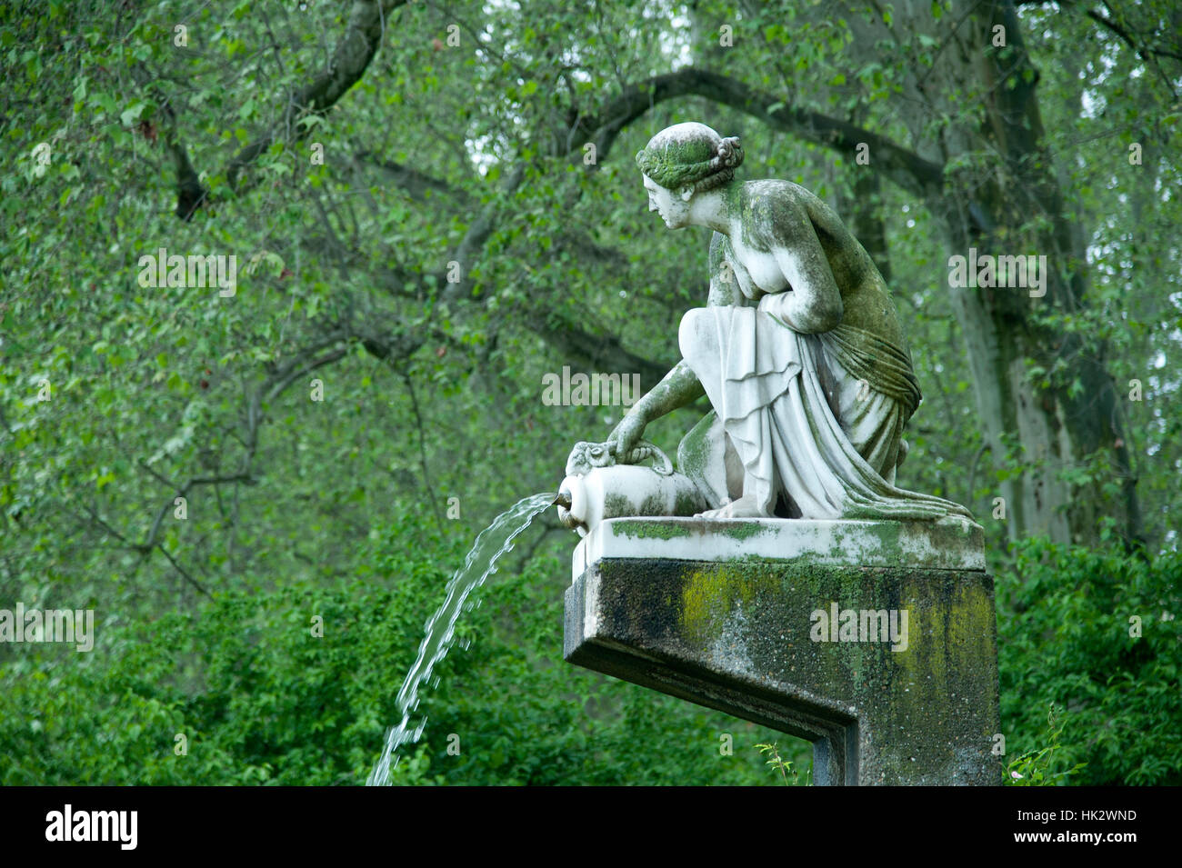 Albero, park, foglie, scultura, molla, fontana, DEA, Sycamore, anfora, Foto Stock