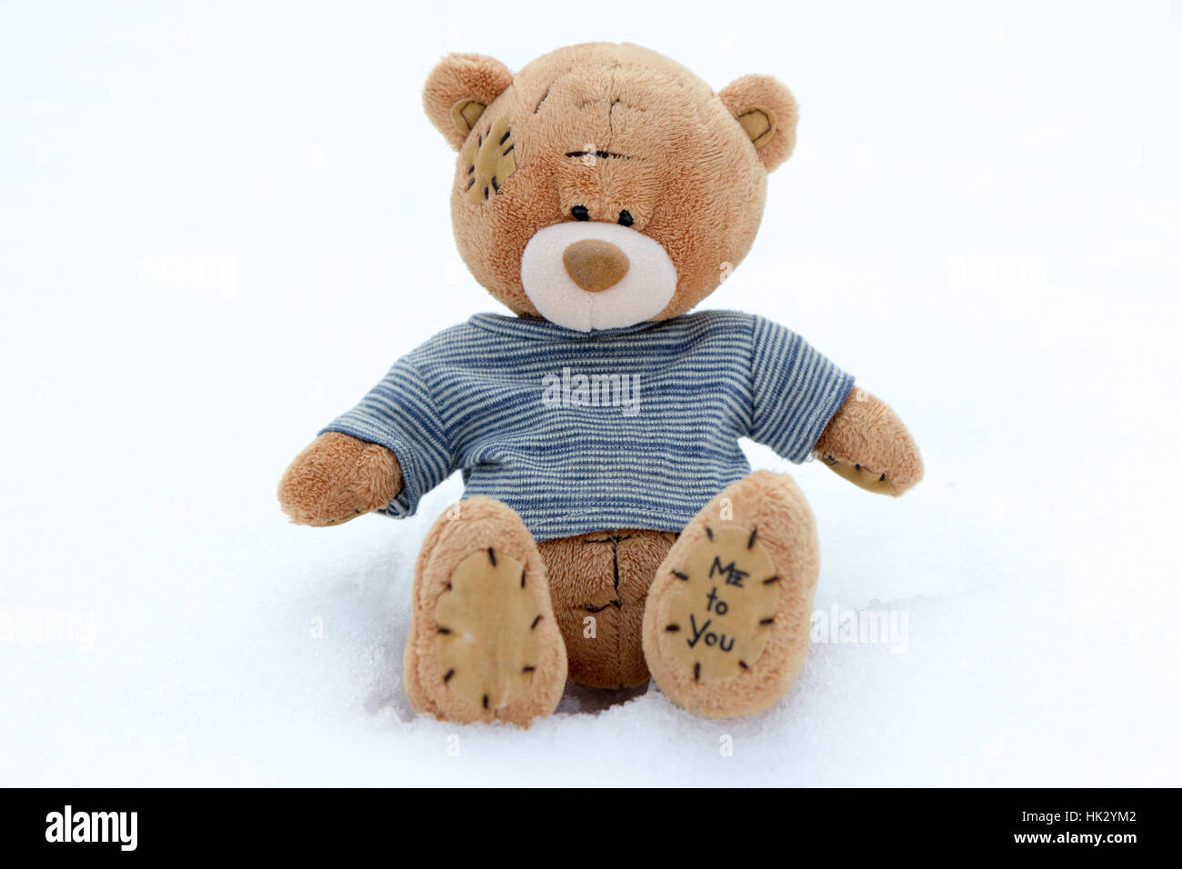 Un simpatico brown orsacchiotto nella neve con strisce blu T-shirt e le parole 'me a te' sulla sua zampa posteriore Foto Stock
