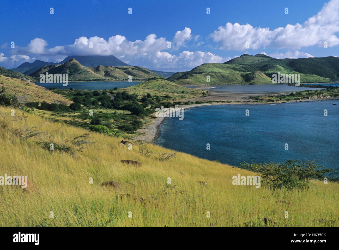 Saint Kitts e Nevis, dei Caraibi Foto Stock
