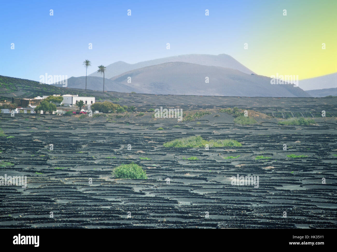 Il deserto-come valle di La Geria, Lanzarote, Isole Canarie, Spagna Foto Stock