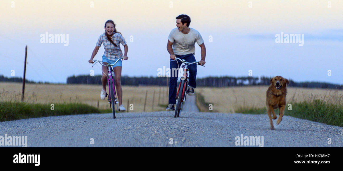 Un cane ha lo scopo di un imminente American commedia-dramma film diretto da Lasse Hallström e scritto da W. Bruce Cameron, Cathryn Michon, Audrey Wells, Maya Forbes e Wallace Wolodarsky, basato sul romanzo 2010 dello stesso nome da Cameron. Il film stelle Britt Robertson, K. J. Apa, John Ortiz, Dennis Quaid e Josh Gad. Questa fotografia è per il solo uso editoriale ed è il copyright del film company e/o il fotografo assegnato dal film o società di produzione e può essere riprodotto solo da pubblicazioni in congiunzione con la promozione del film di cui sopra. Un credito per il film co Foto Stock