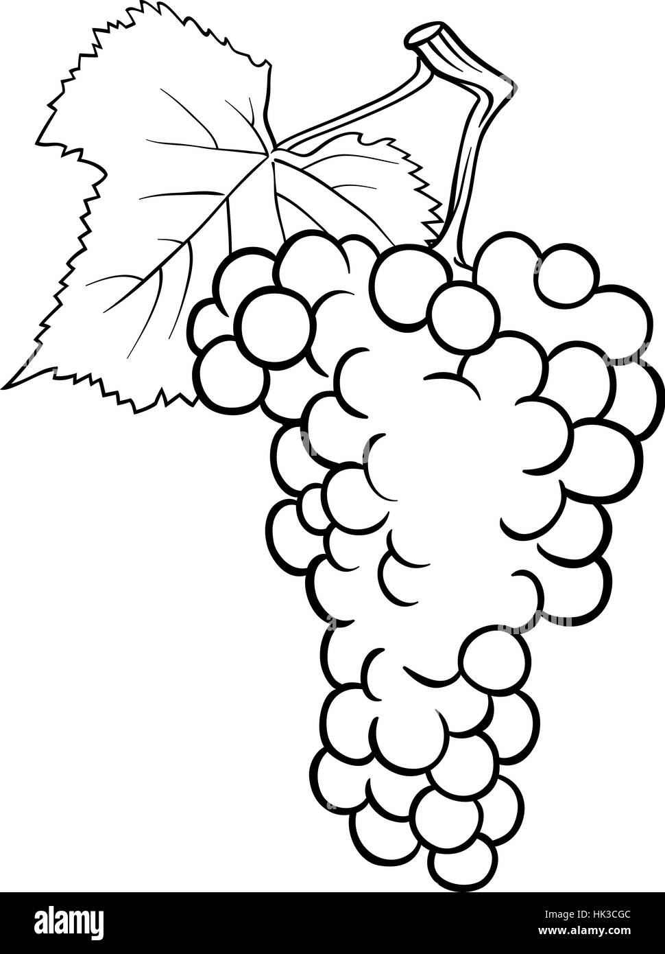 Bianco e Nero Cartoon illustrazione del grappolo di uva o Grapevine frutta oggetto alimentare per il libro da colorare Foto Stock