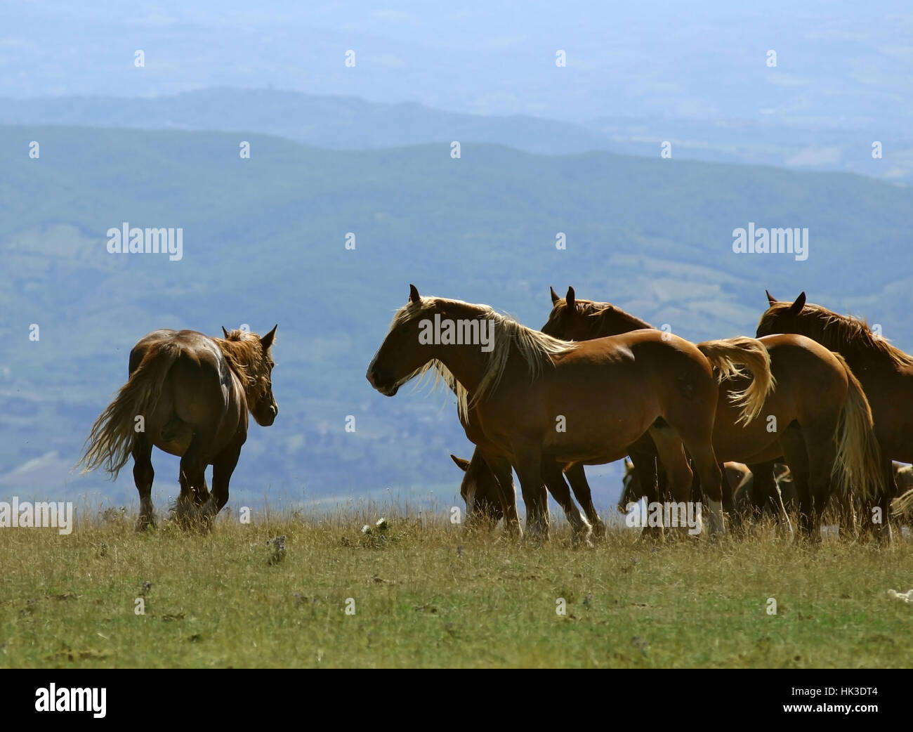 Blu, grande, grande, enorme, extreme, potente, imponente, immensa, pertinenti Foto Stock