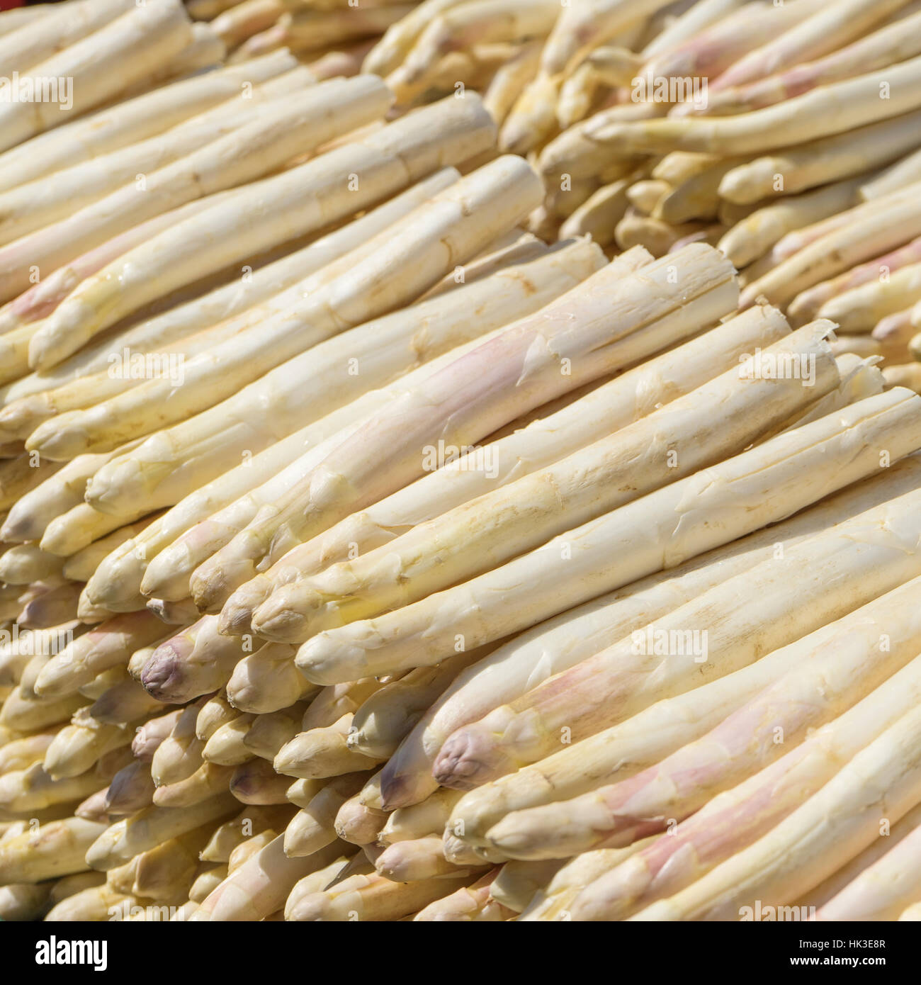 Delicatezza, appena raccolto asparagi bianchi Foto Stock