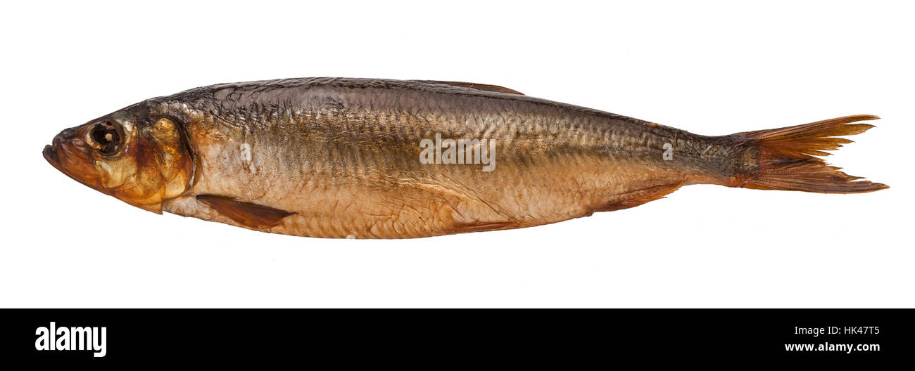 Cibo, aliment, isolato, di colore marrone, marrone, brunette, vuoto, europeo, Foto Stock