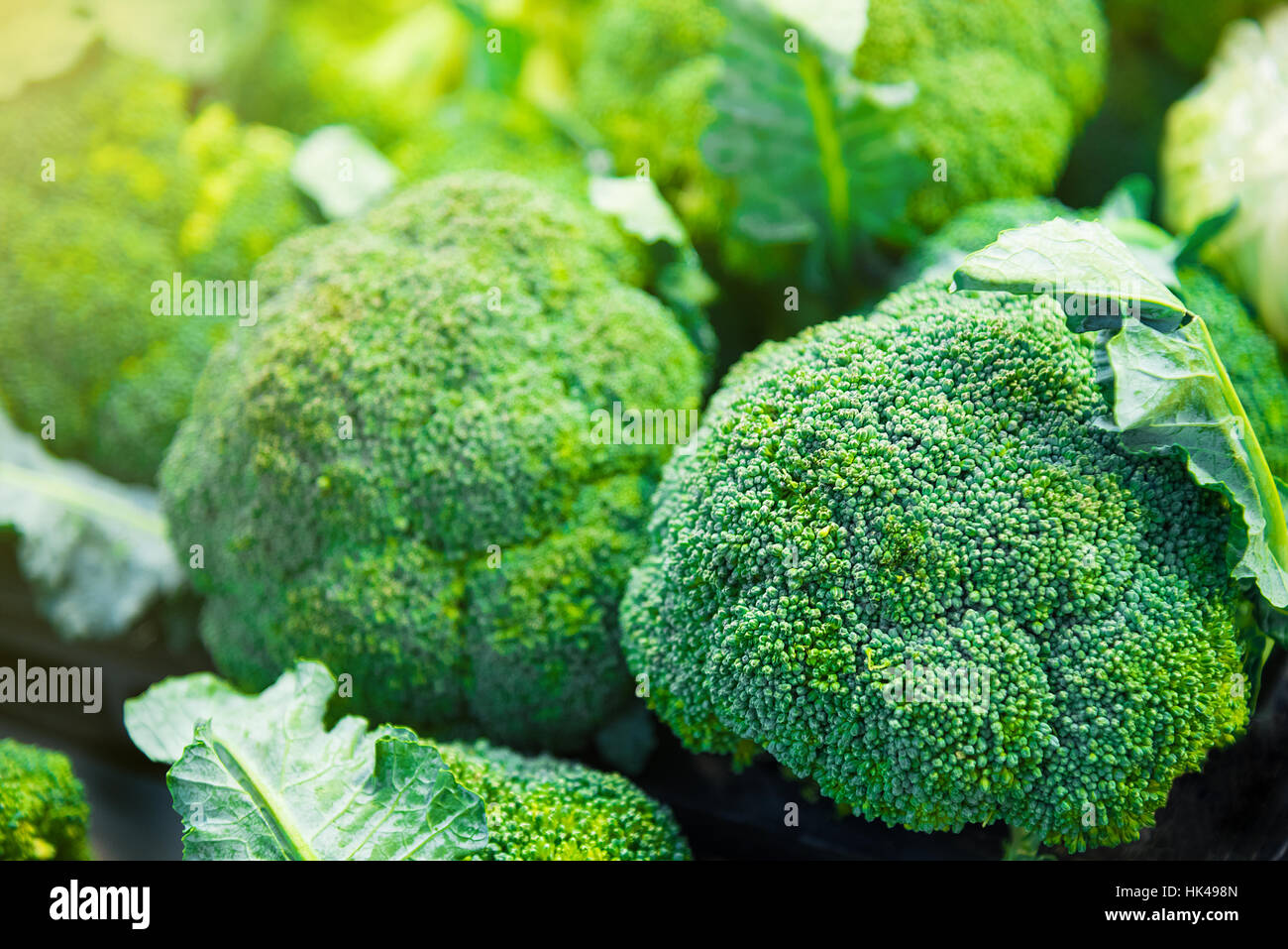 Gruppo di teste di broccoli su vassoi nel supermercato, healthcare, cucina dietetica, vegetali, vegetariane e vegane concetto closeup e messa a fuoco selettiva Foto Stock