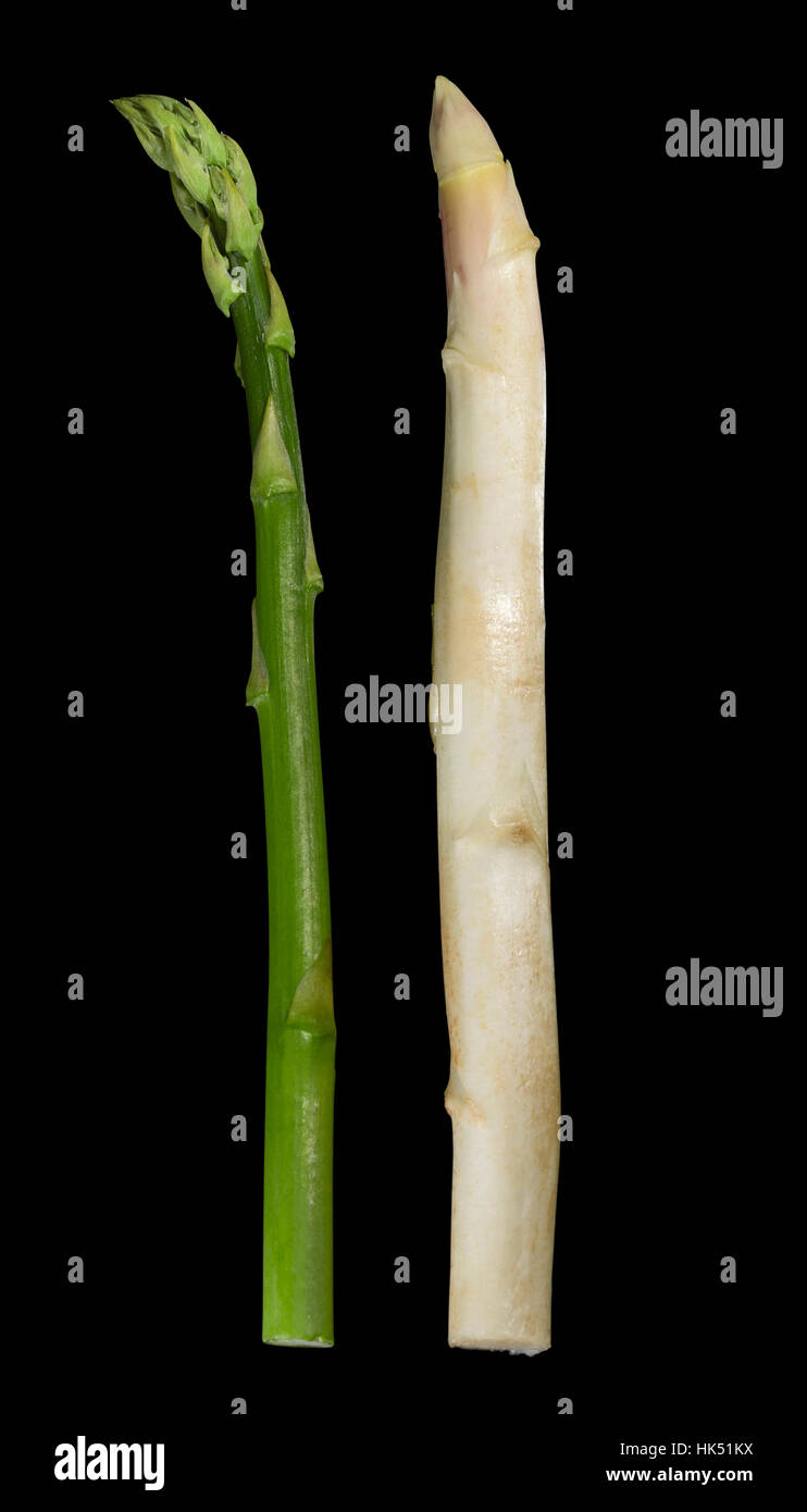 Il bianco e il verde gli asparagi vegetale in black back Foto Stock