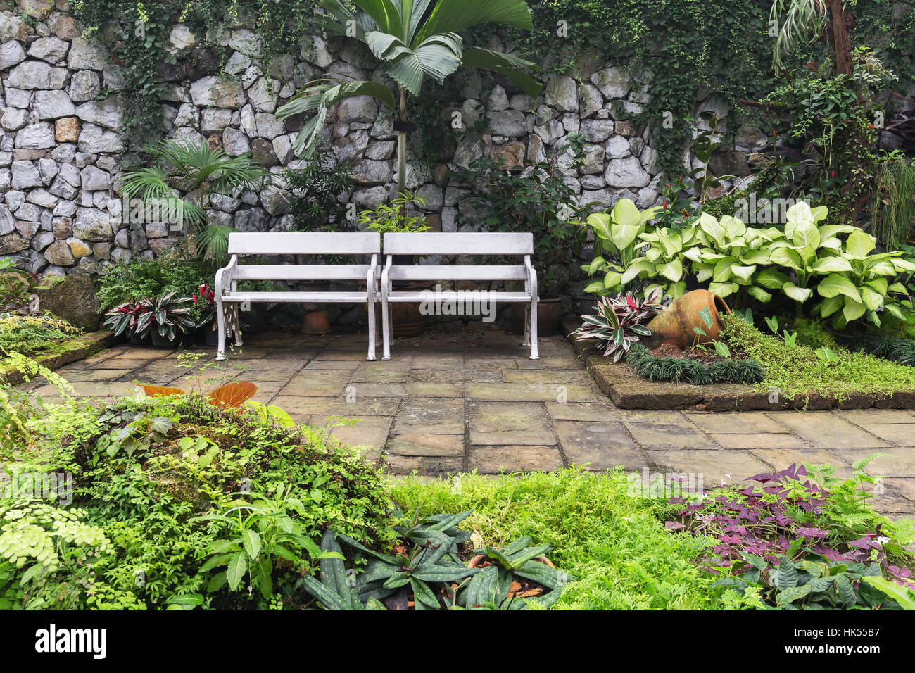 Due white classic panche sul percorso a piedi all'interno tropicale giardino botanico con pietre e scalatore tree come fondale parete. Foto Stock Due white classic panche sul percorso a piedi all'interno tropicale giardino botanico con pietre e scalatore tree come fondale parete. Foto Stock