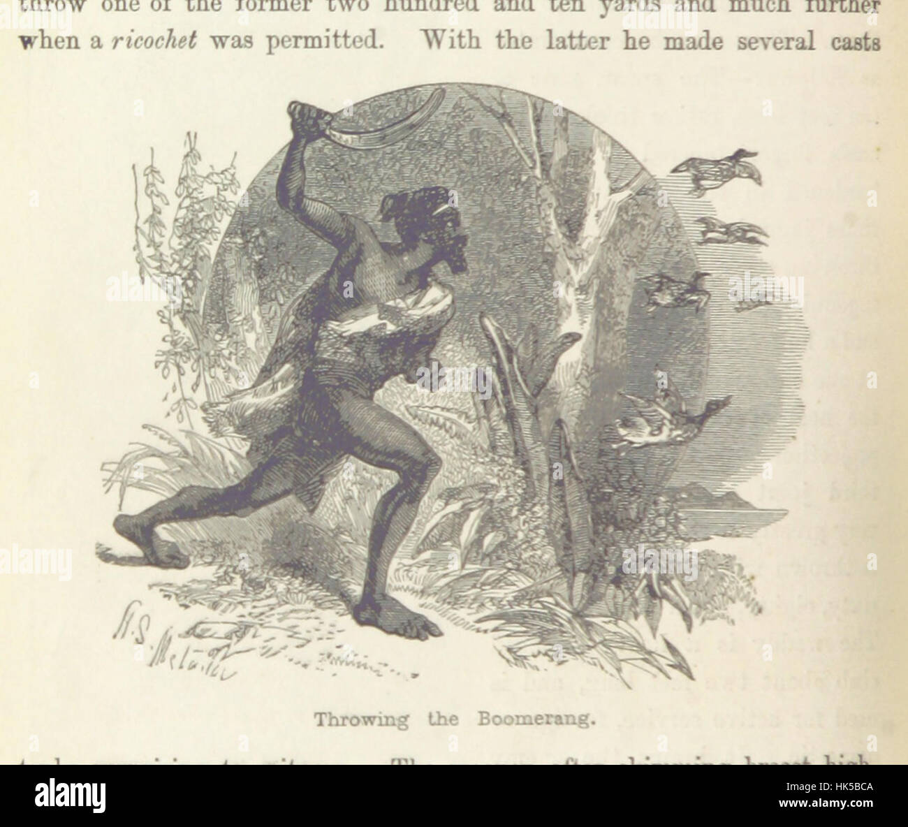 Immagine presa da pagina 180 di "curiosità di vita selvaggia ... (Seconda serie.) con xilografie ... da H. S. Melville; ... e illustrazioni colorate ... da F. W. Keyl, etc' immagine presa da pagina 180 di "curiosità di Foto Stock