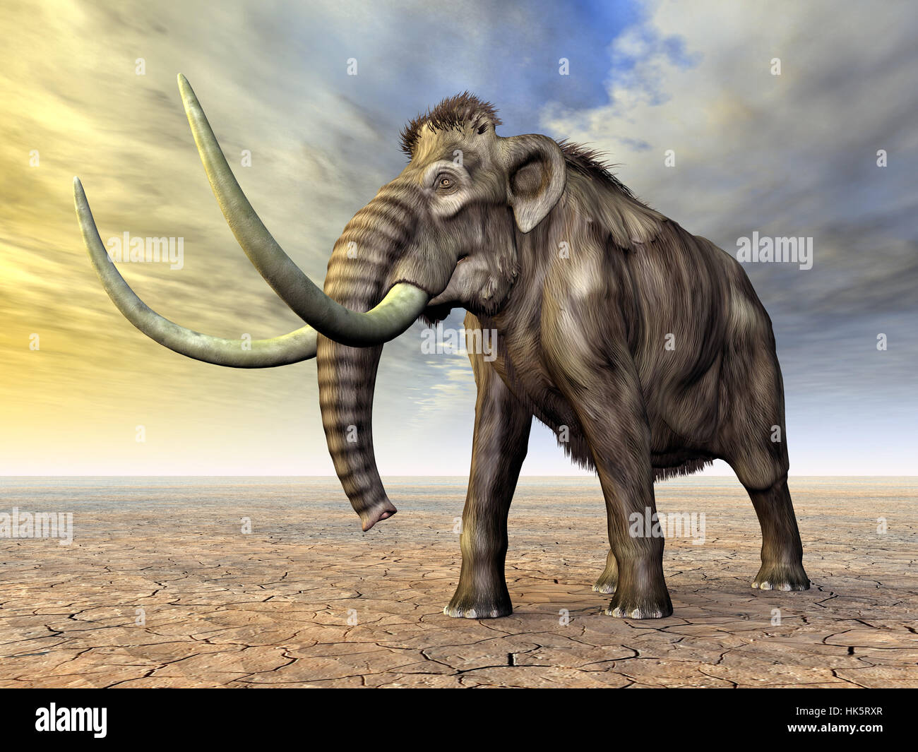 Elephant, avorio, brosmio, mammut, paleontologia, grande, grande, enorme, extreme, Foto Stock