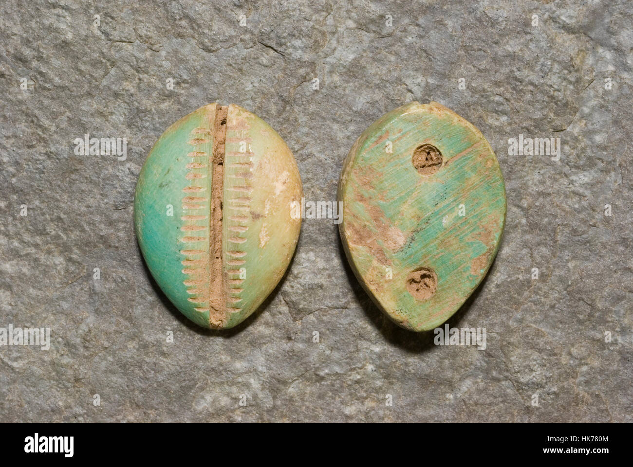 Cinese Antica Shell Cowrie imitazione in osso. Foto Stock