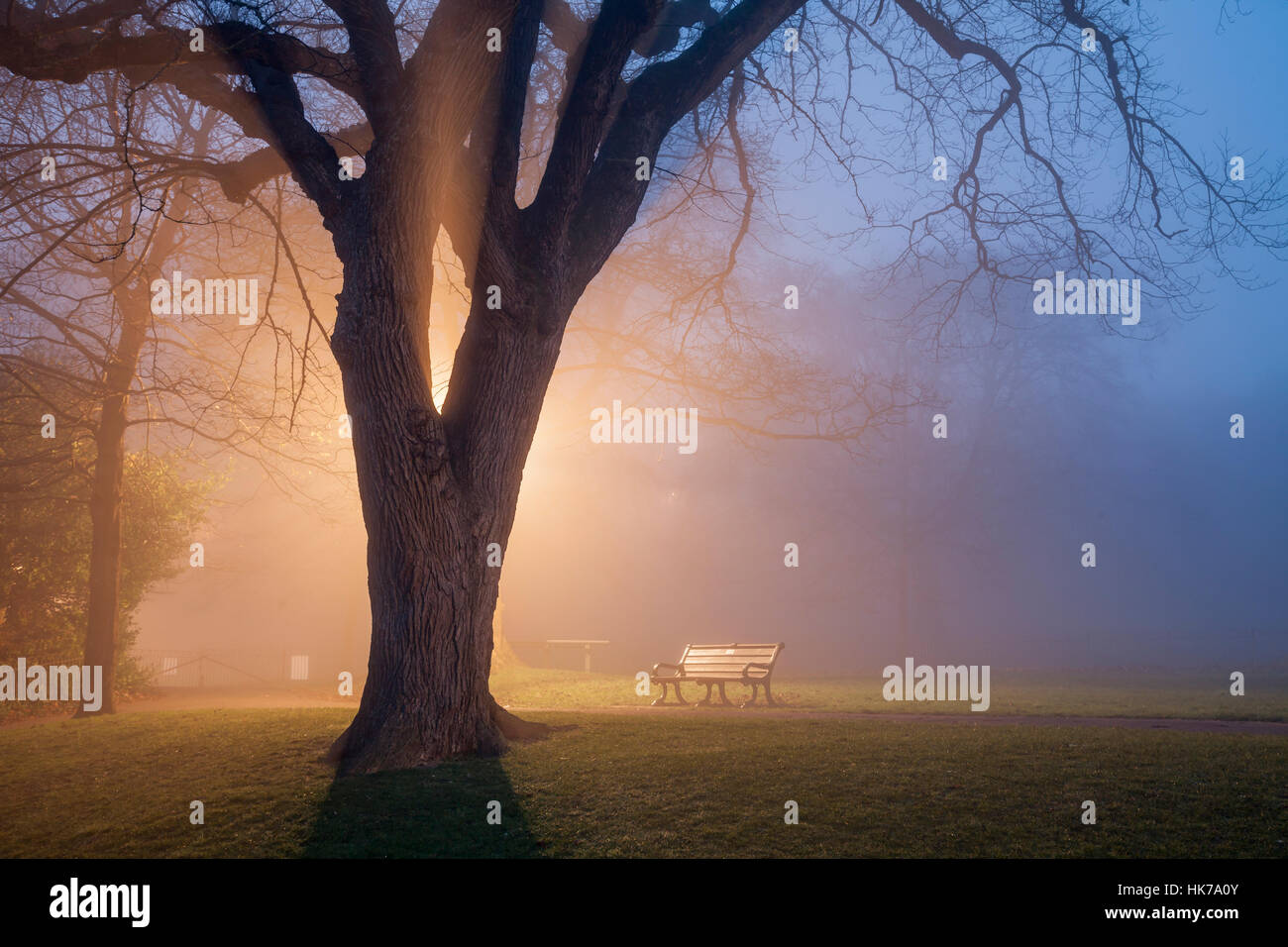 Foggy inverno sera in Queen's Park, Brighton East Sussex, Inghilterra. Foto Stock