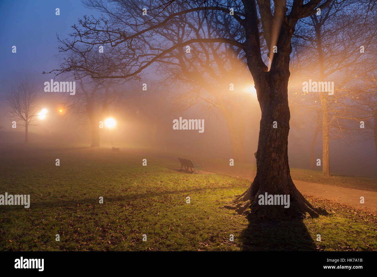 Foggy inverno sera in Queen's Park, Brighton East Sussex, Inghilterra. Foto Stock