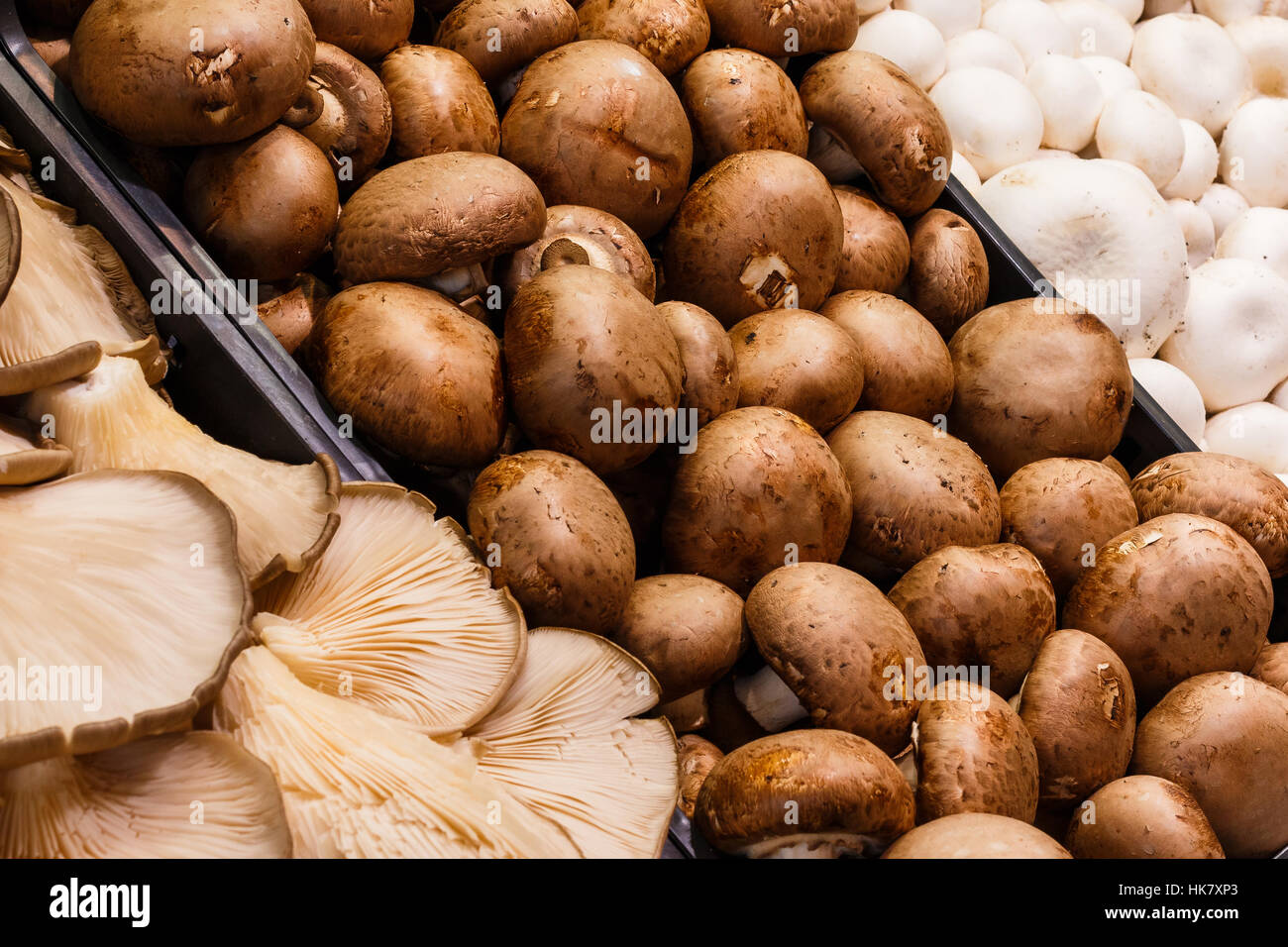Diversi funghi freschi sul mercat de la Boqueria Barcelona, Spagna Foto Stock