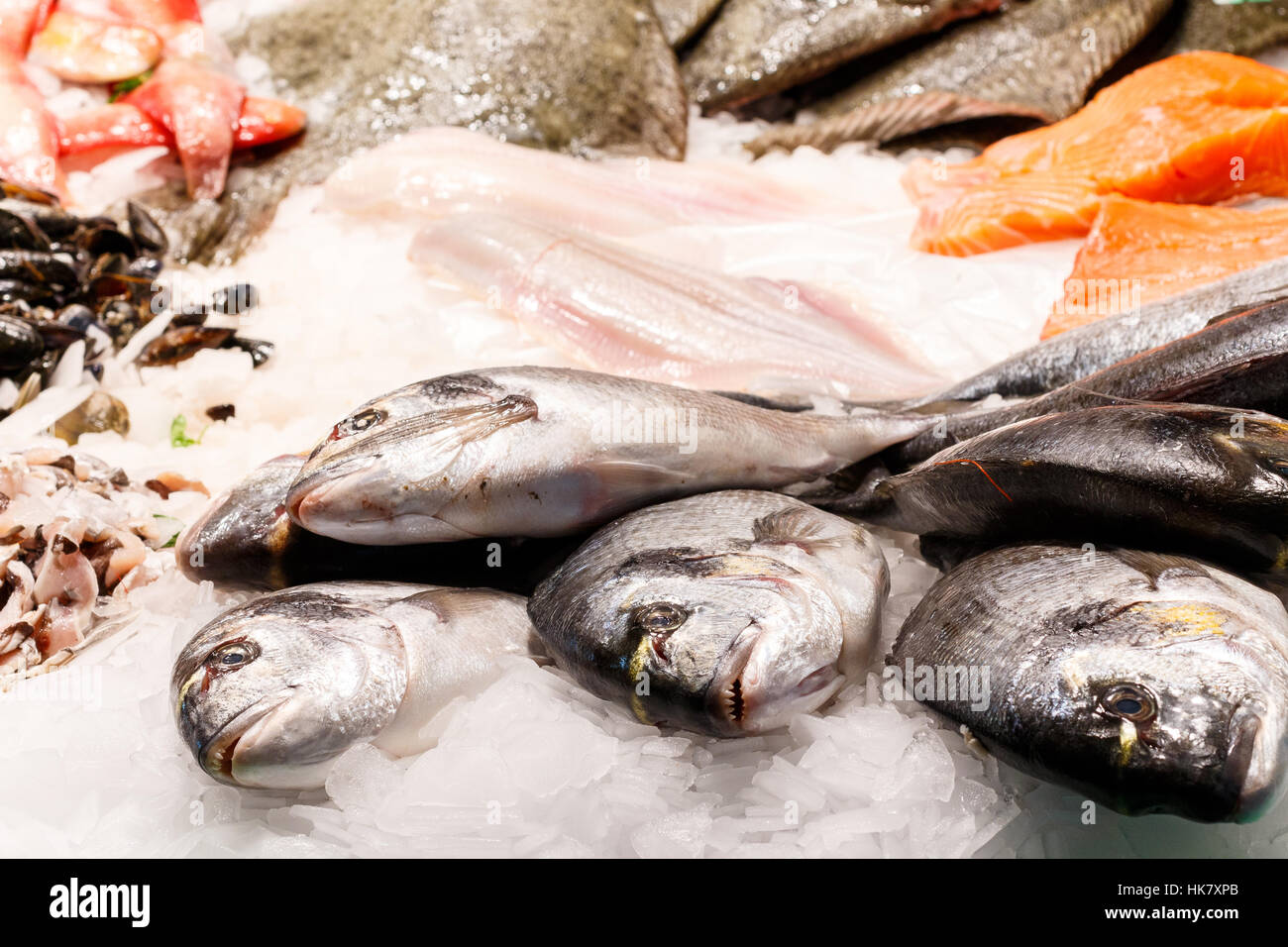Dorade fresco pesce di mare in ghiaccio sul mercat de la Boqueria Barcelona, Spagna Foto Stock