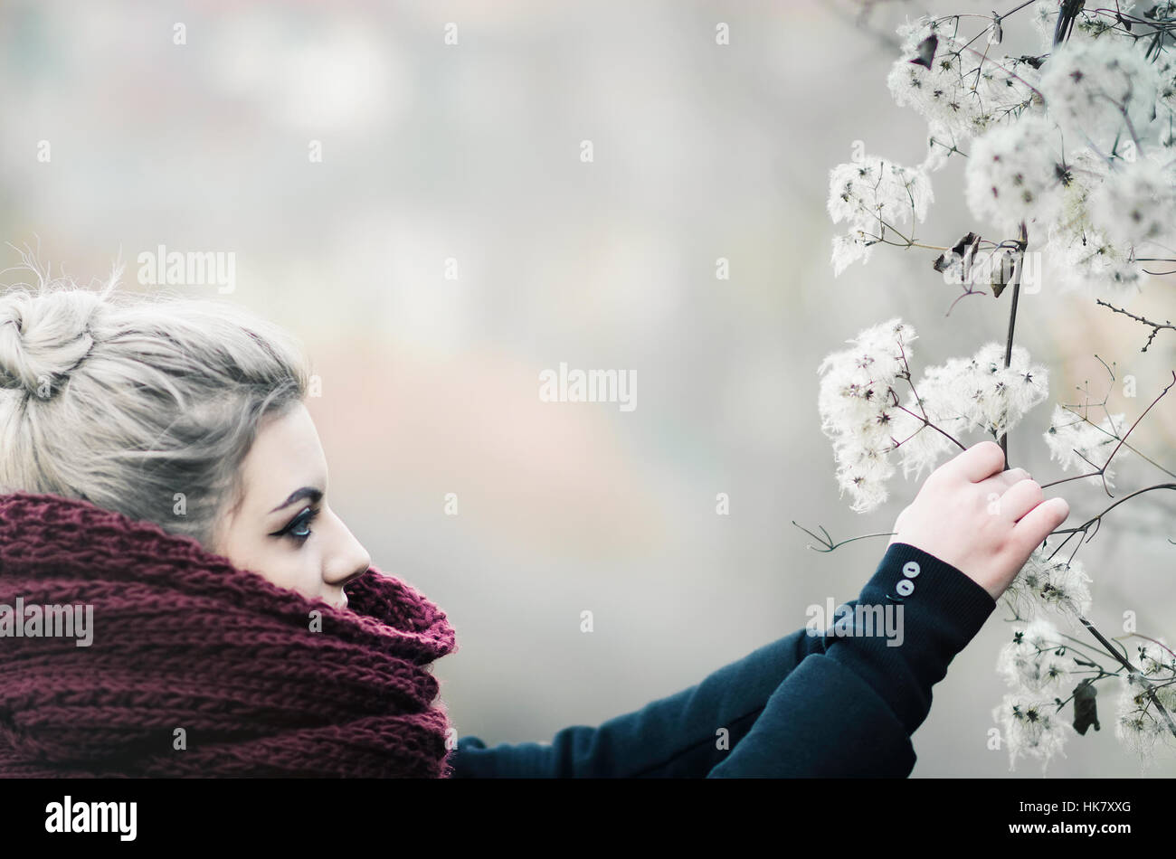 Ragazza giovane con i capelli grigi e grande sciarpa picking fiori invernali Foto Stock