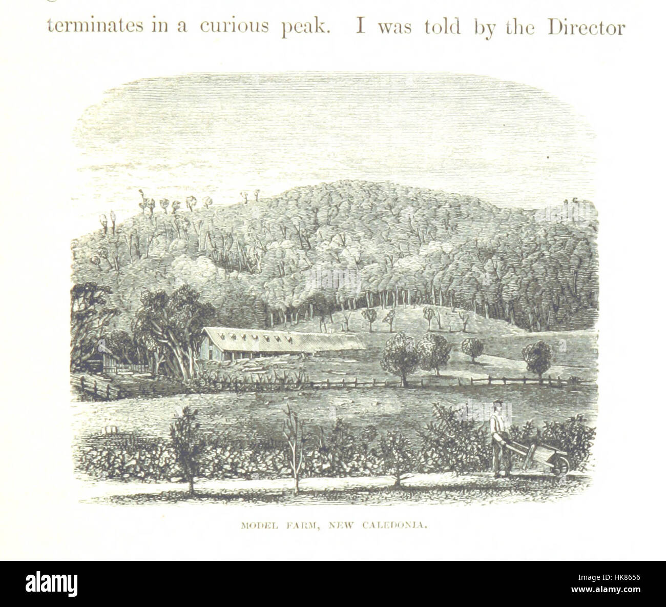 Annotazioni durante la crociera di H.M.S. Curaçoa tra il mare del sud le isole nel 1865 ... Con ... Storia naturale [avvisi da G. R. Gray, A. C. L. G. Guenther e altri]. [Con piastre e una mappa.] immagine presa da pagina 397 di "Annotazioni assortiti Foto Stock