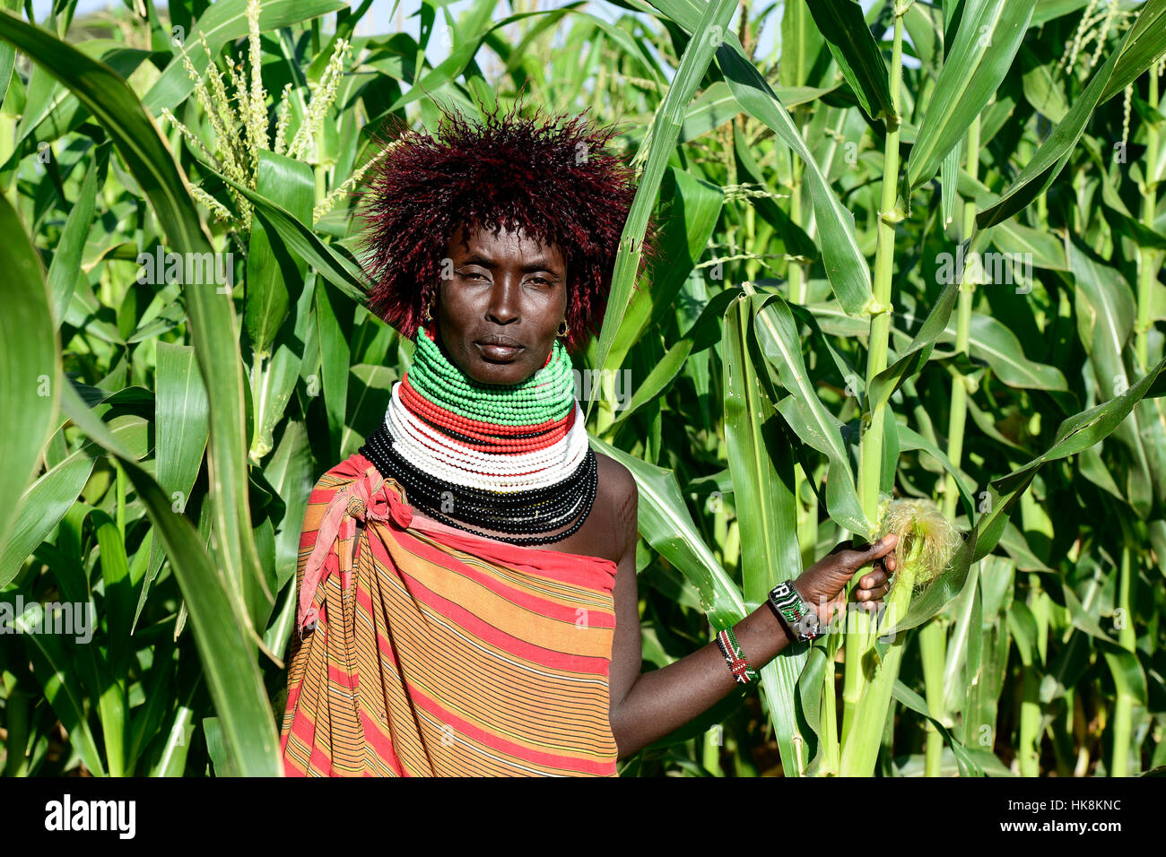 KENYA Turkana, Lodwar, villaggio Turkana Kaitese, Turkana donna con parrucca nella parte anteriore del campo di mais, unica faccia Foto Stock