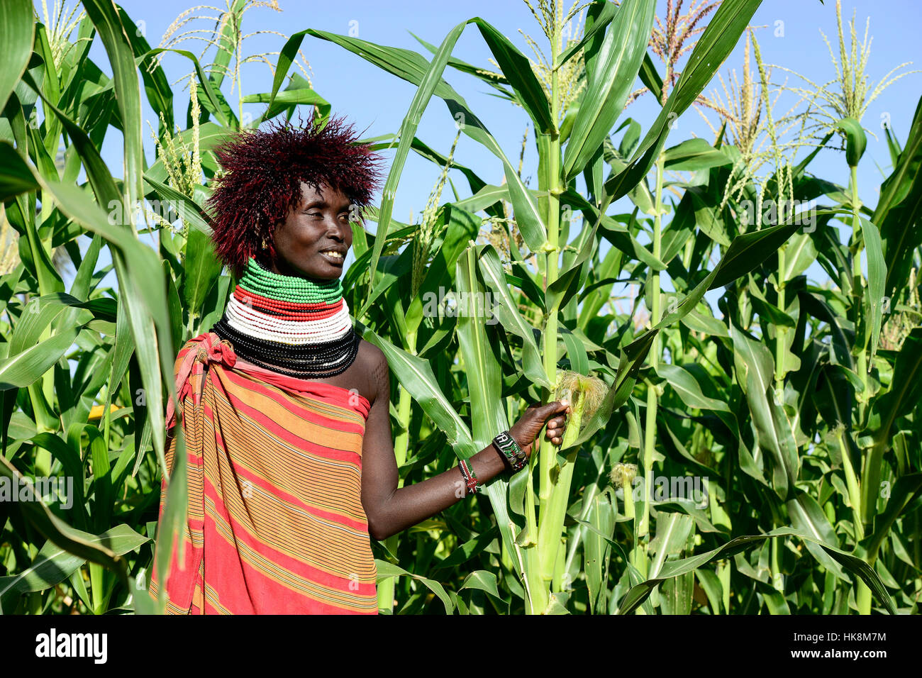 KENYA Turkana, Lodwar, villaggio Turkana Kaitese, Turkana donna con parrucca nella parte anteriore del campo di mais, unica faccia Foto Stock