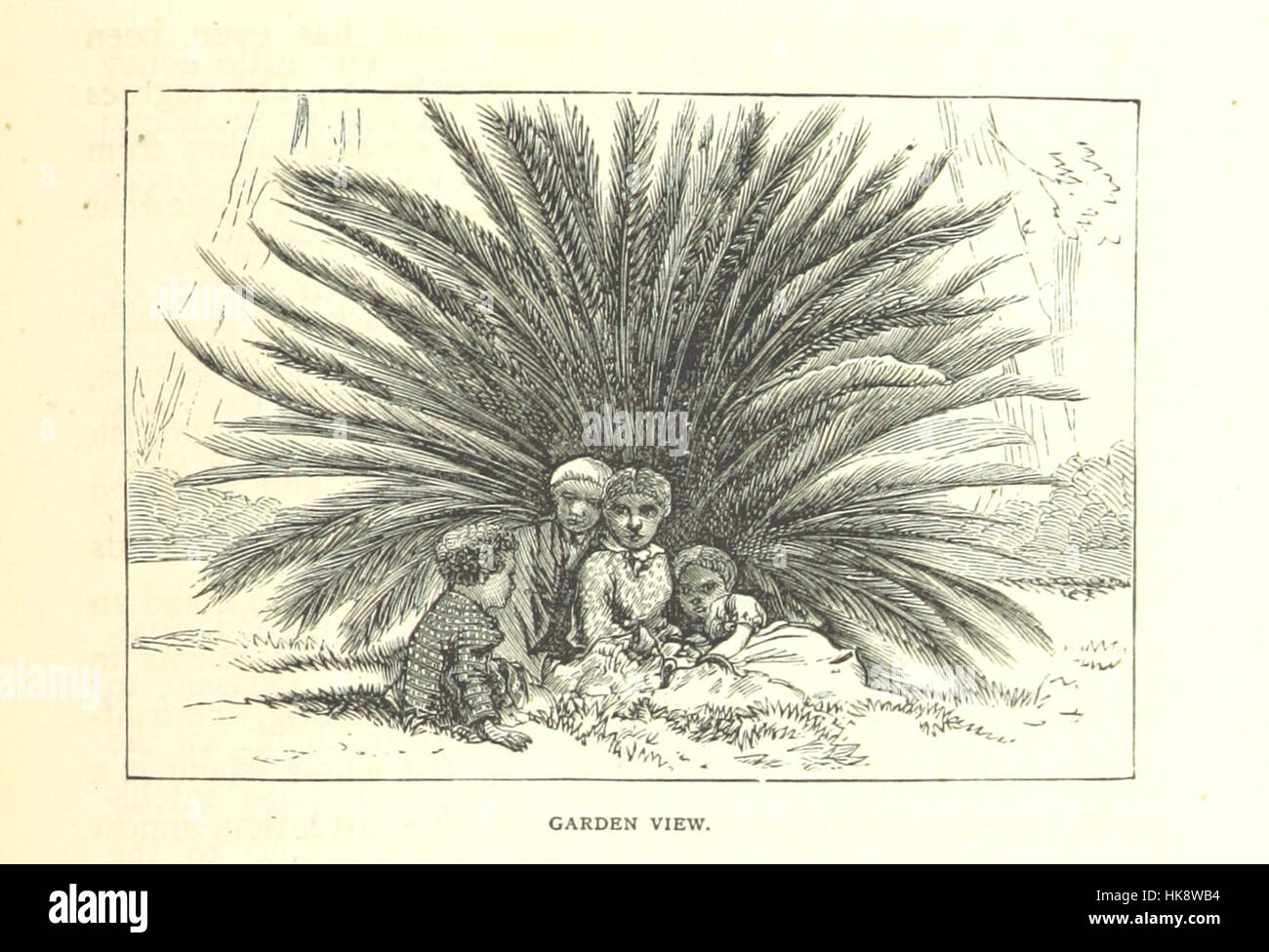 Immagine presa da pagina 579 del '[Cuba con penna e matita.]' immagine presa da pagina 579 del '[Cuba Foto Stock