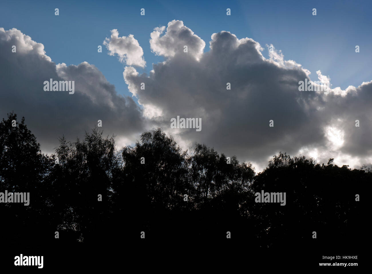 Un grande grigio cloud retroilluminato fotografati contro un cielo blu con una linea di alberi in primo piano Foto Stock