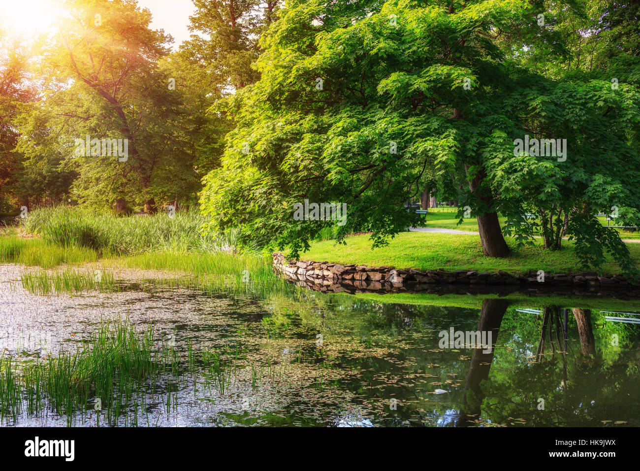 Soleggiato riflessione sulle sponde di un lago in un parco tranquillo a Halifax, Nova Scotia. Foto Stock