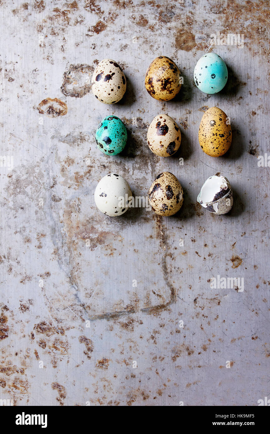 Tutta la decorazione e rotture di Pasqua colorate uova di quaglia in piedi in fila rusty metaltexture sfondo. Vista da sopra con copia spazio. Foto Stock