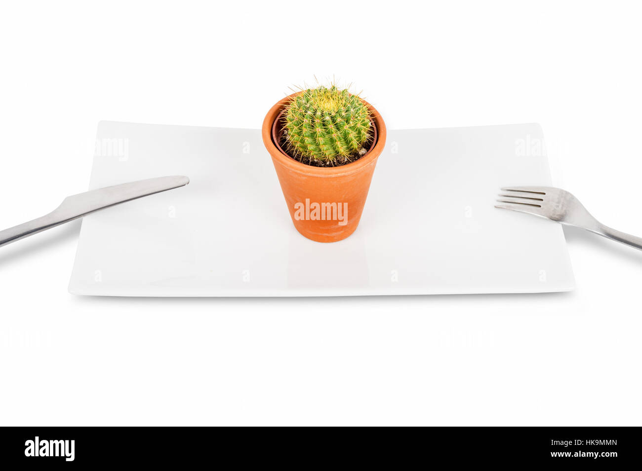 Cactus su una piastra che simbolizza l'anoressia e disturbi alimentari Foto Stock