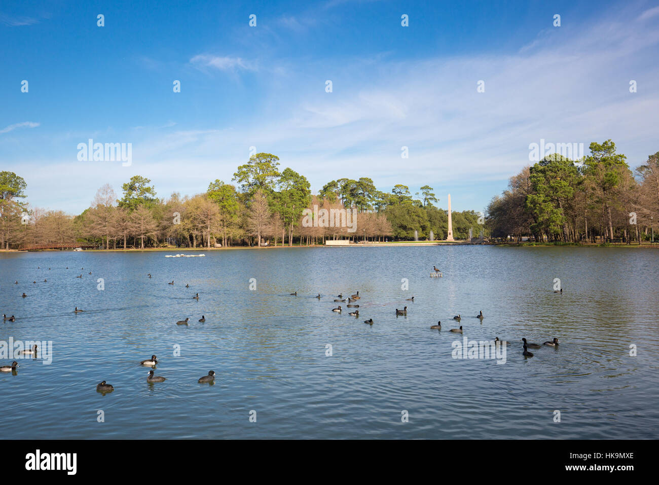 Houston hermann park conservancy mcgovern lago in inverno il Texas Foto Stock