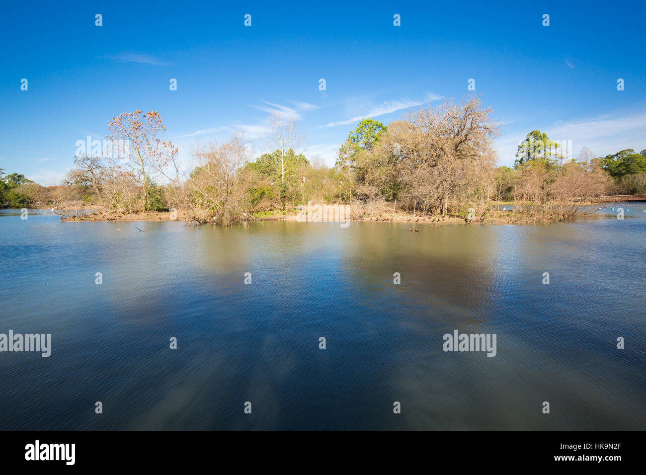 Houston hermann park conservancy mcgovern lago in inverno il Texas Foto Stock