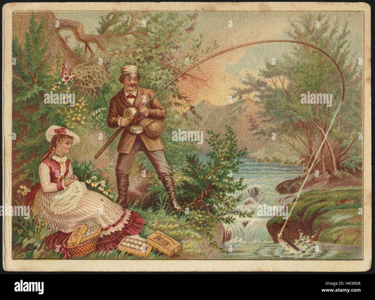 J. & P. riveste migliori sei lo stelo cavo di cotone. Foto Stock