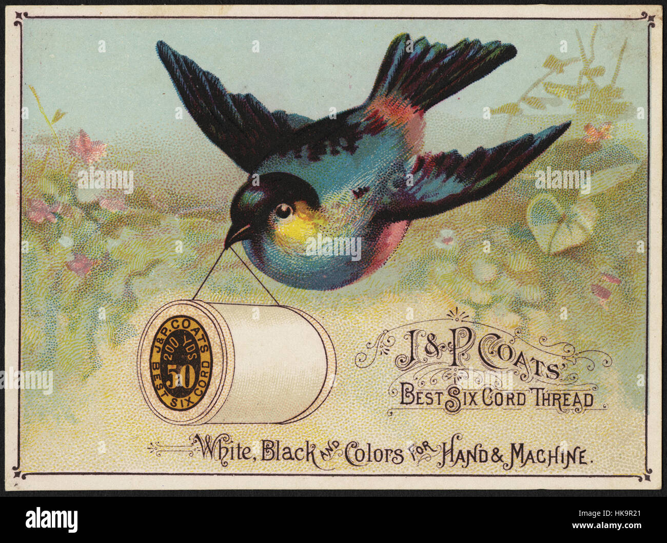 J. & P. riveste migliori sei cordoncino, bianco e nero e a colori per manuali e a macchina Foto Stock