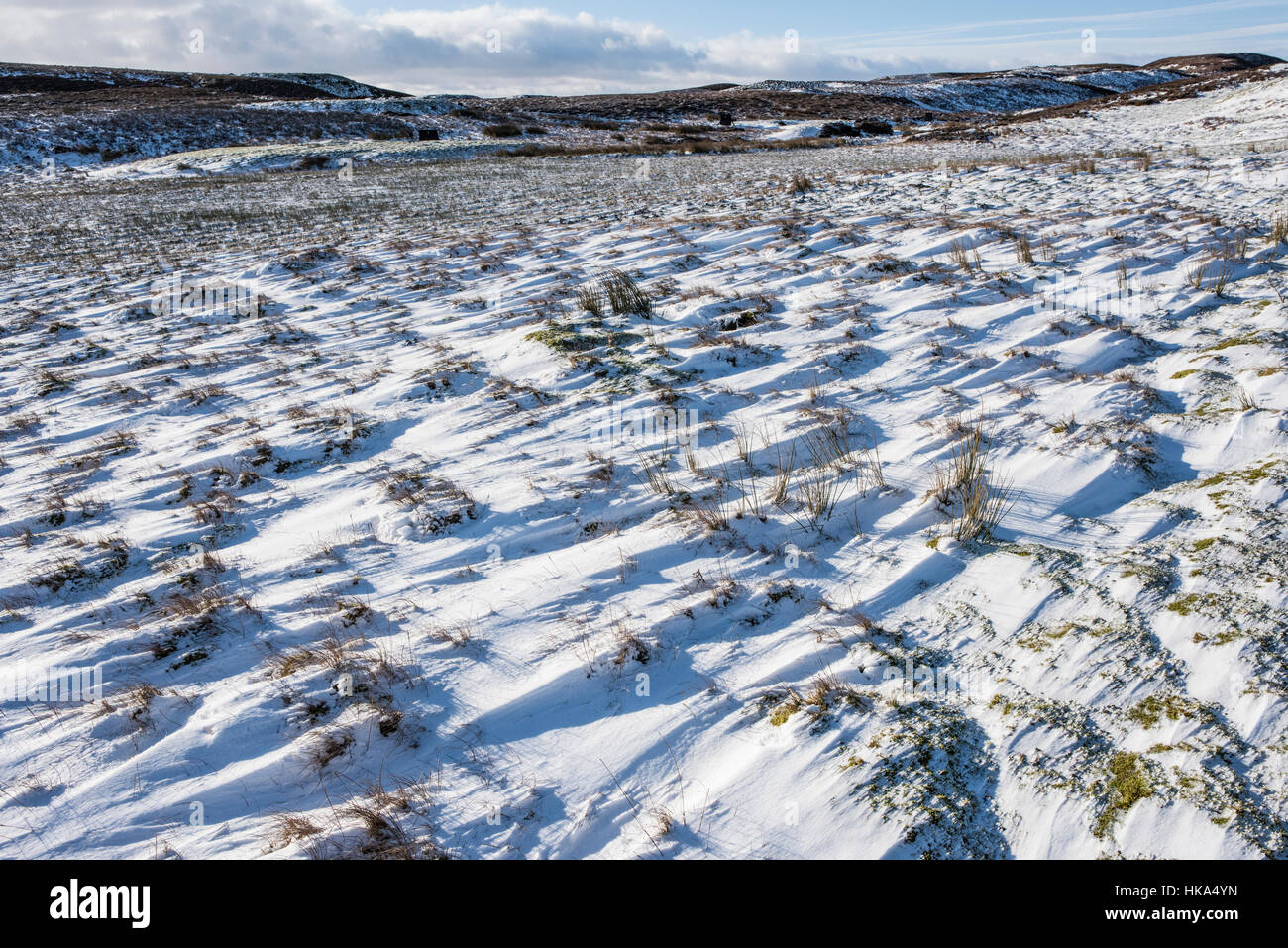Vento neve soffiata su Preston Moor, North Yorkshire, Inghilterra Foto Stock