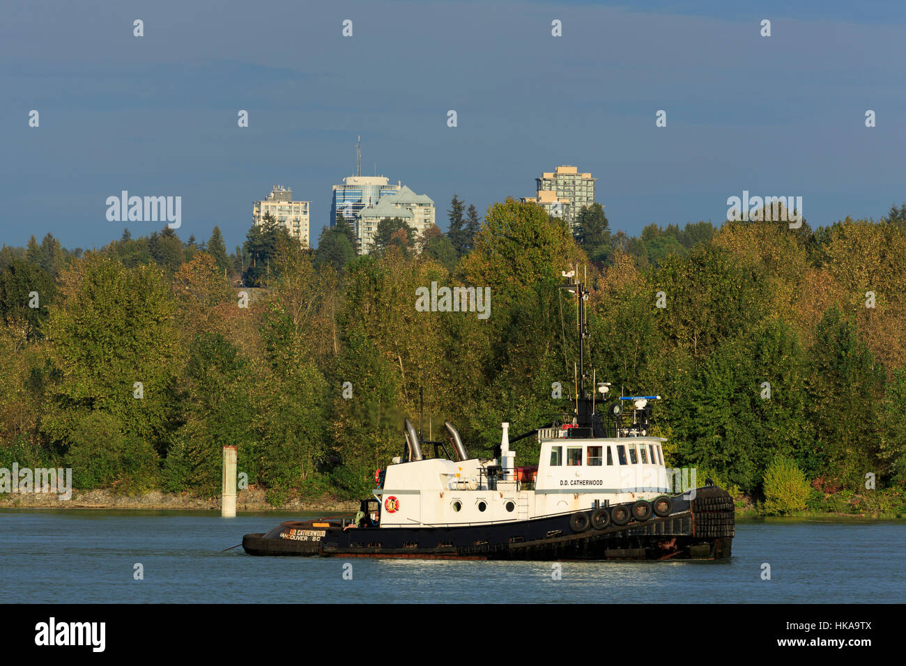 Rimorchiatore, New Westminster, Regione di Vancouver, British Columbia, Canada Foto Stock