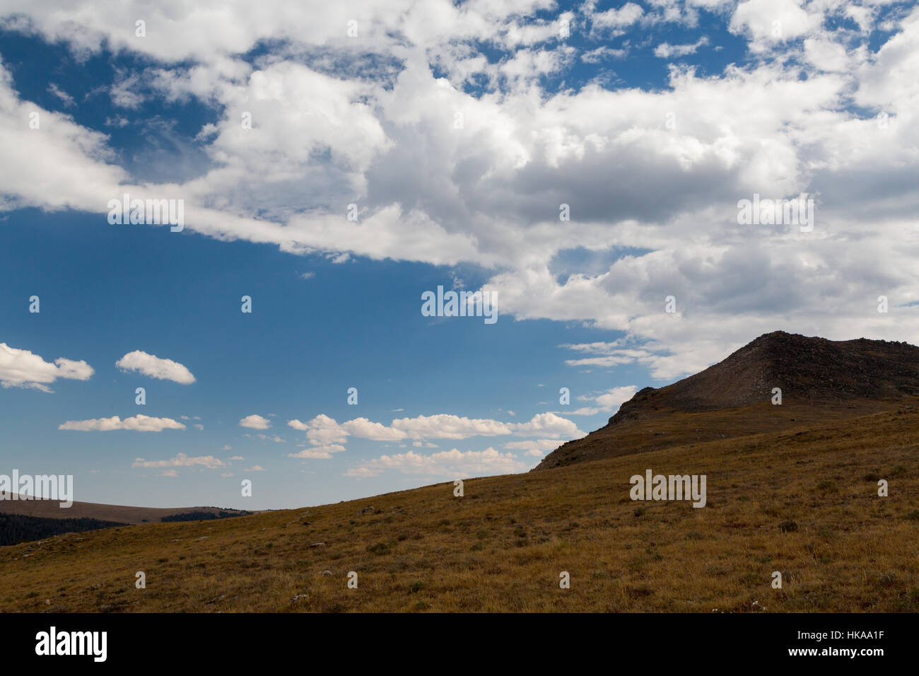 Maltempo su Tibbs Butte lungo la Beartooth Loop Trail nel Beartooth Mountains. Shoshone National Forest, Wyoming Foto Stock