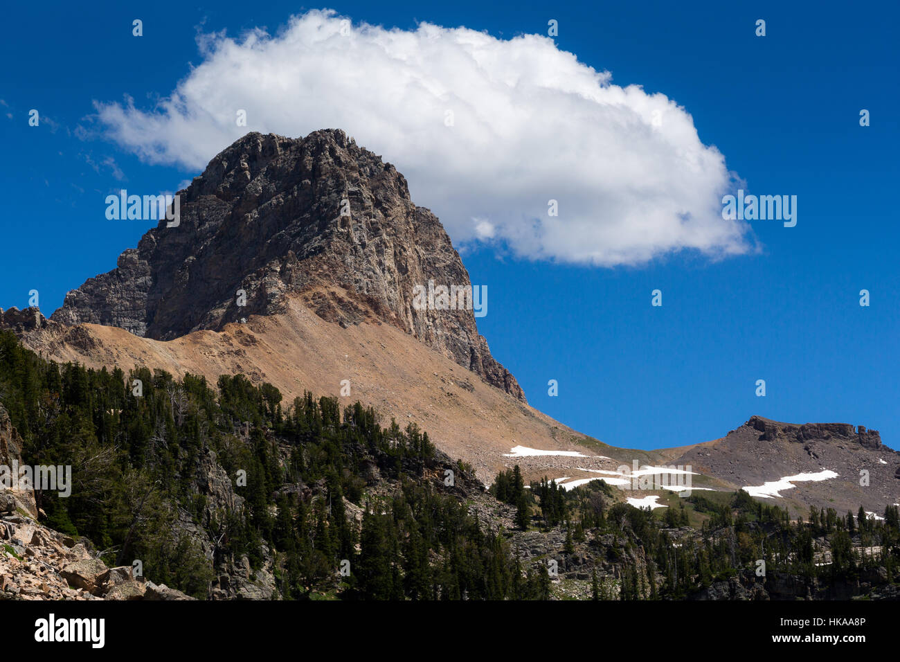 Il Buck montagna sopra l'Alaska bacino lungo i Teton Crest Trail nel Teton Mountains. Jedediah Smith Wilderness, Wyoming Foto Stock