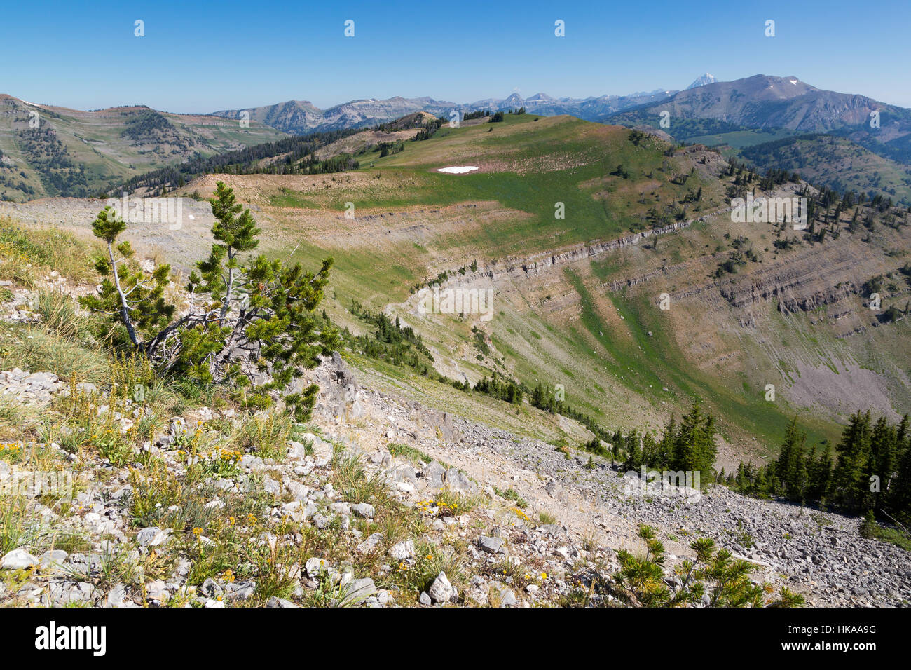 Il robusto Teton Mountains che si allunga verso nord dalla cima del monte gloria. Bridger-Teton National Forest, Wyoming Foto Stock