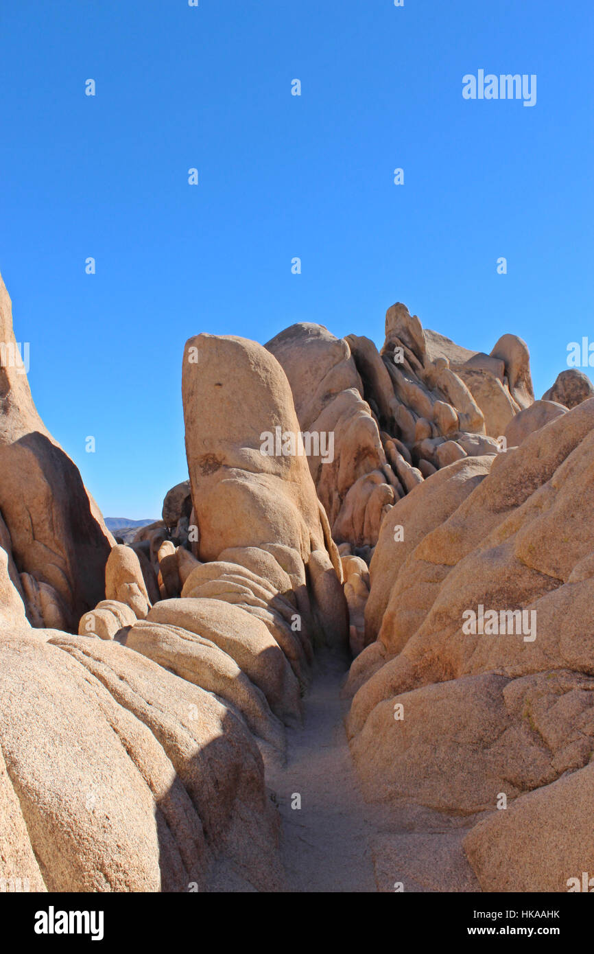 Stretto sentiero che conduce in insolite formazioni di roccia in roccia Jumbo campeggio nel parco nazionale di Joshua Tree Foto Stock