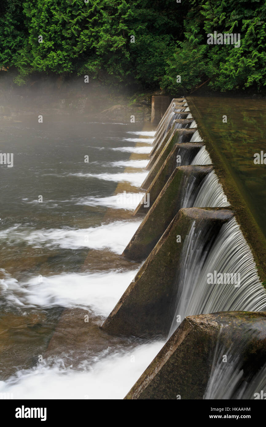 Il Capilano Salmon Hatchery, Vancouver, British Columbia, Canada Foto Stock